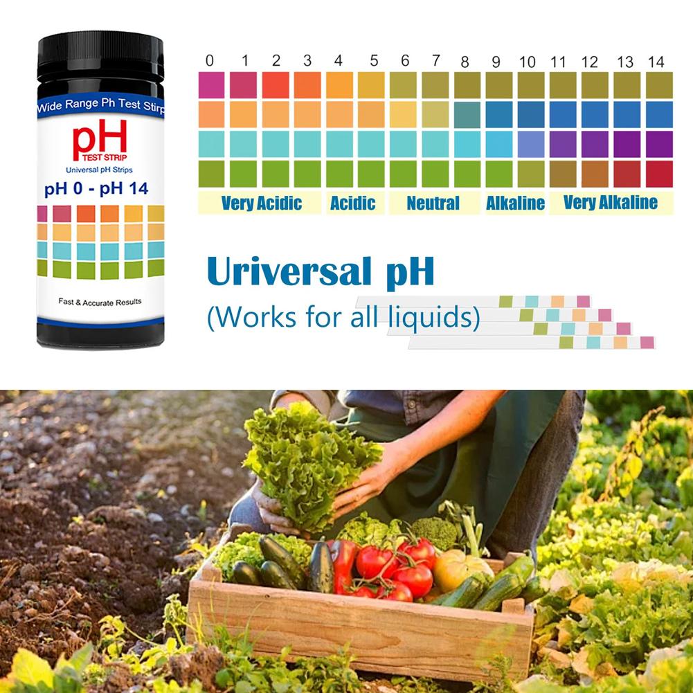 100 piezas multiusos cloro PH  - Ph Strip Test reseña y precio