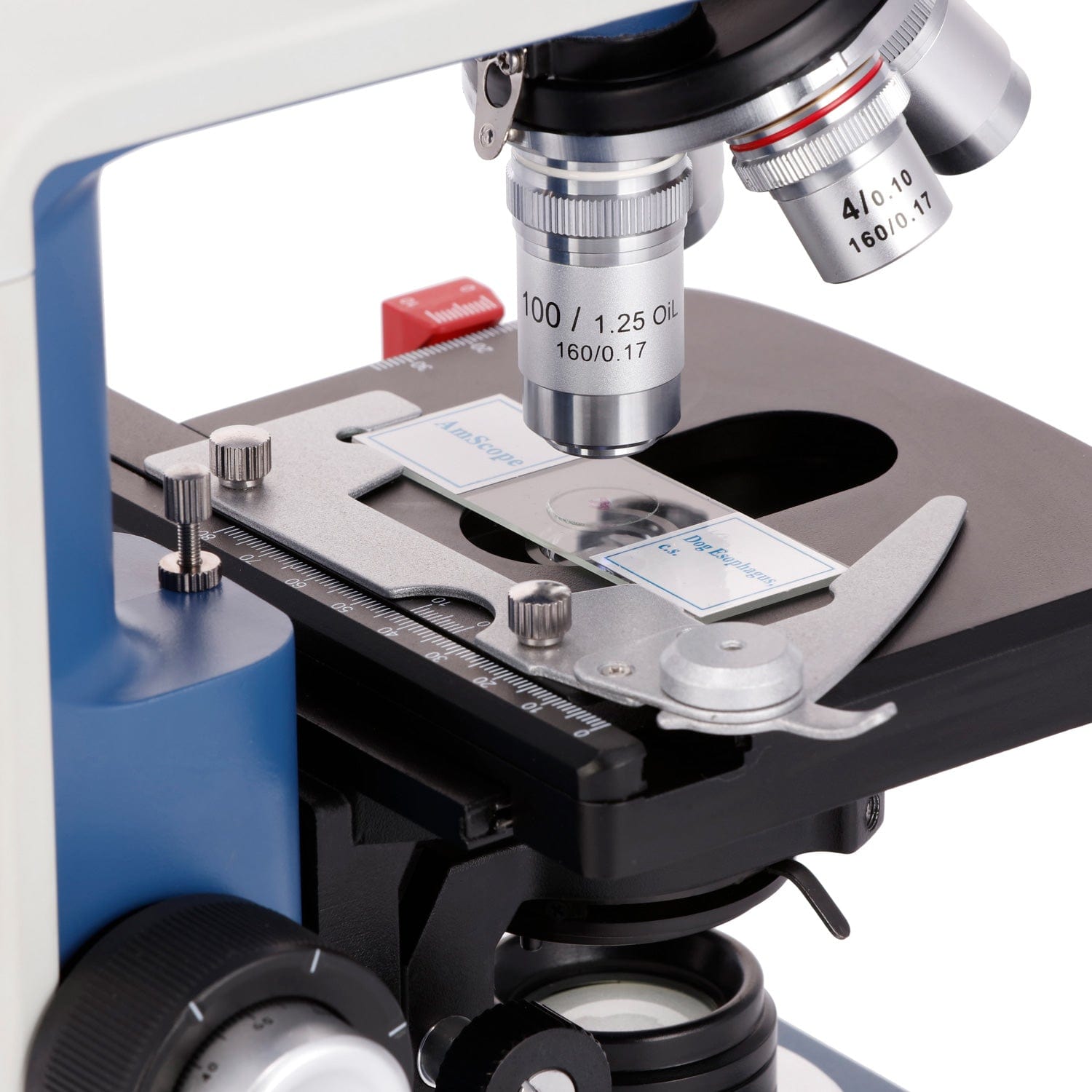 Microscopio Compuesto Binocula - Microscope Compound 40X reseña y precio